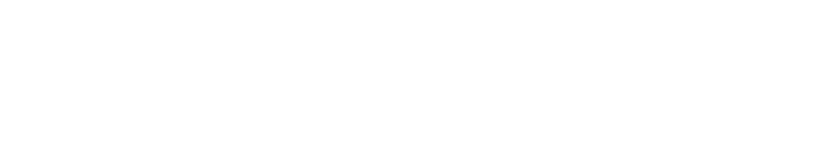 BLUEPRINT VISUAL